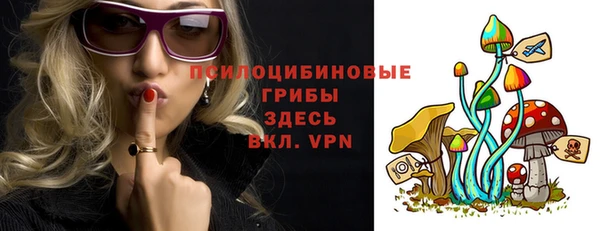 дурь Белоозёрский