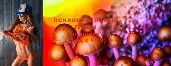 MDMA Белокуриха