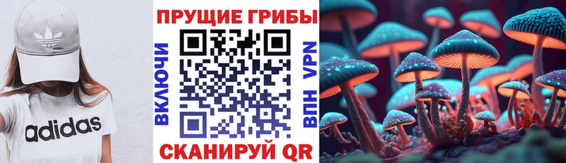 Галлюциногенные грибы Magic Shrooms  ОМГ ОМГ ТОР  Вельск  магазин продажи наркотиков 